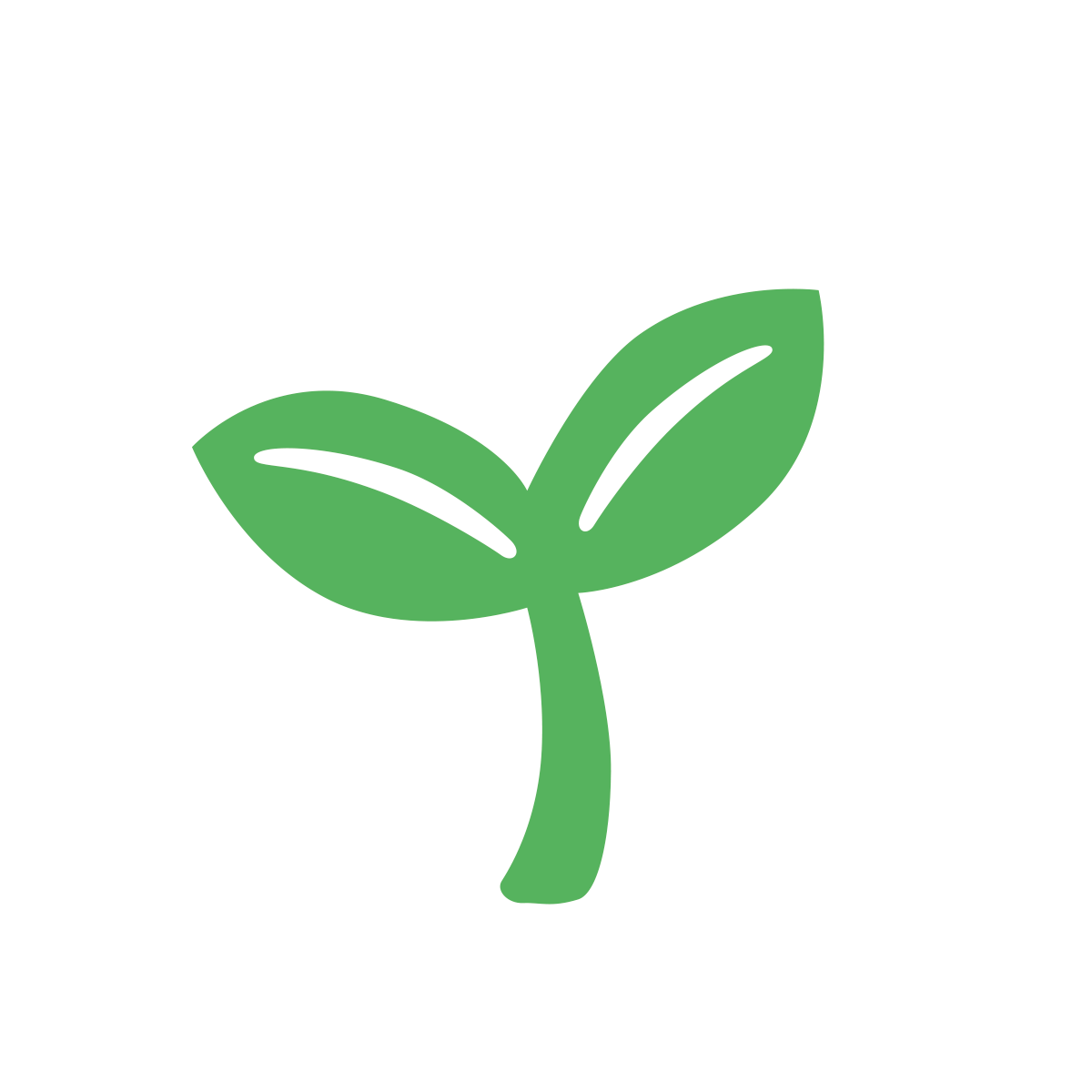 Raw Organic LIFEBAR Blueberry Quinoa